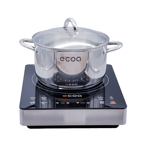 ecoa induction Front View burn manufacturing cookstove