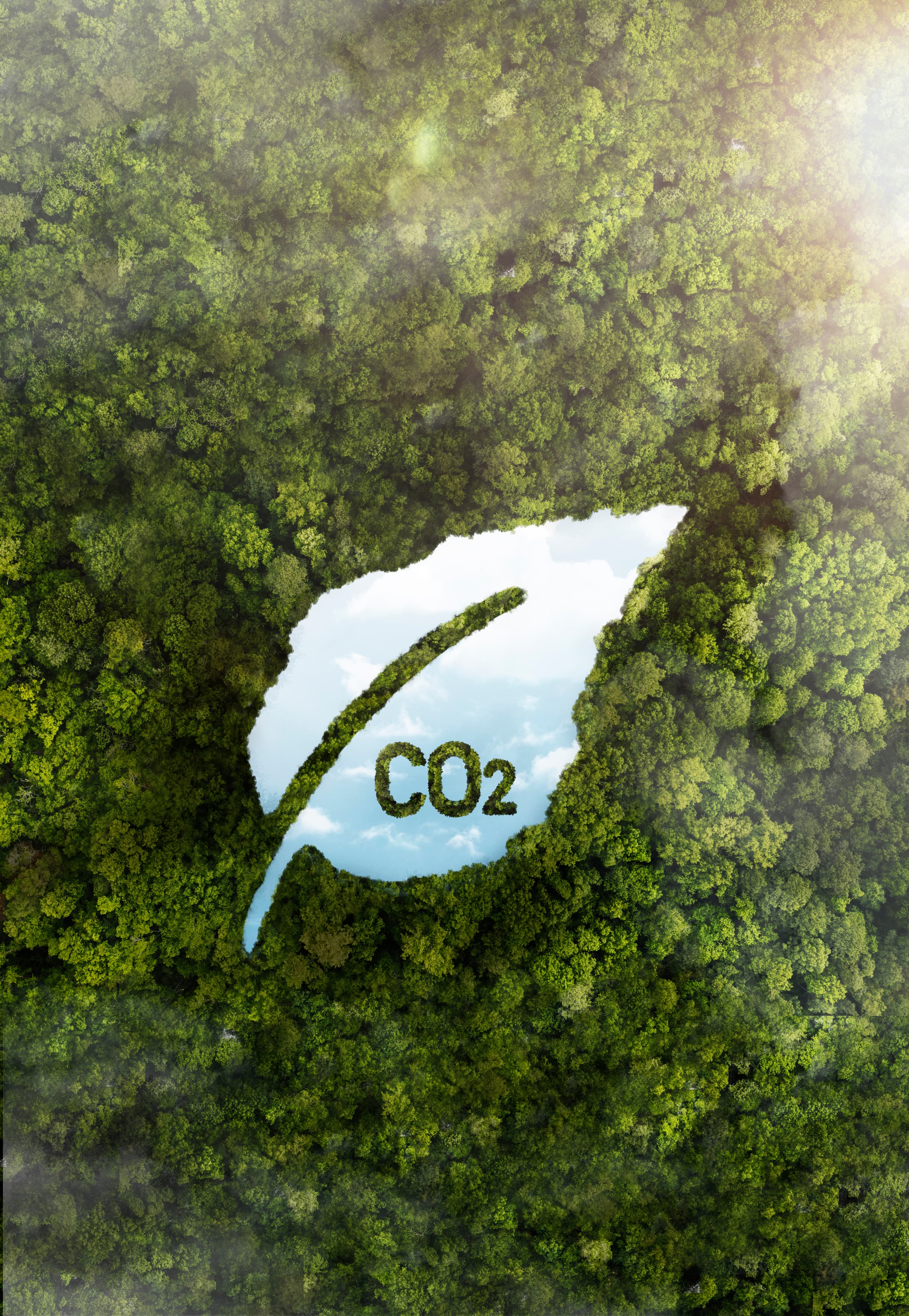 Our Journey to Improve Carbon Integrity in 2025