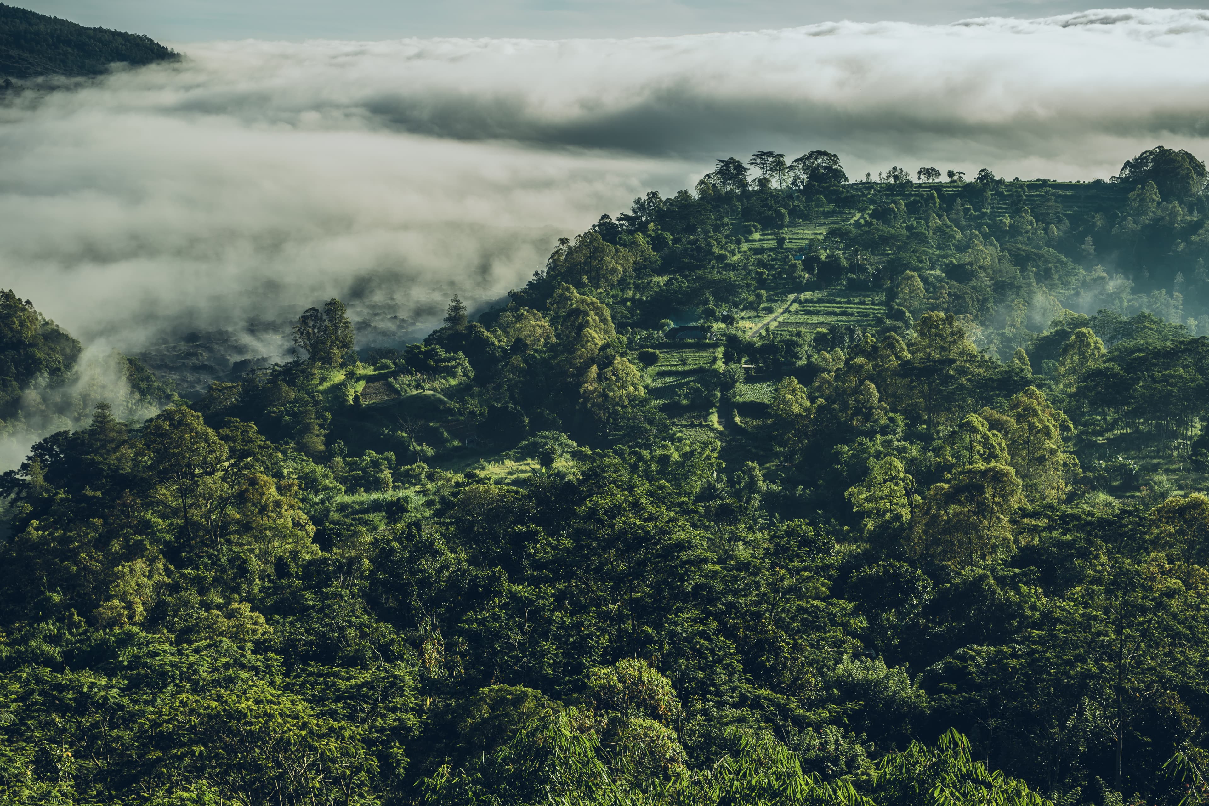 BURN’s Strategic Role in CORSIA: Driving High-Integrity Clean Cooking Credits